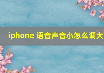 iphone 语音声音小怎么调大